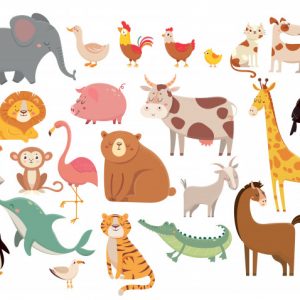 Ciências 3º Ano Fundamental – Fauna e flora nativa e exótica, classificação dos animais: vertebrados e invertebrados e os cinco grupos dos animais vertebrados.