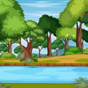 Ciências 3º Ano Fundamental – O ar e seus componentes, os estados físicos da água e as mudanças de estado físico, o ciclo da água na natureza.