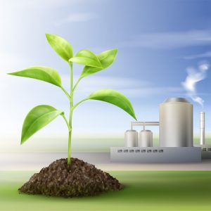 Ciências 4º Ano Fundamental – O ciclo do carbono, o ciclo do carbono e a cadeia alimentar, o ciclo do carbono e ação antrópica.
