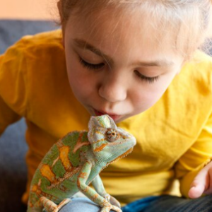 Apostila de Ciências – Os diferentes tipos de animais: os répteis e os anfíbios – Habilidade BNCC: EF03CI06.